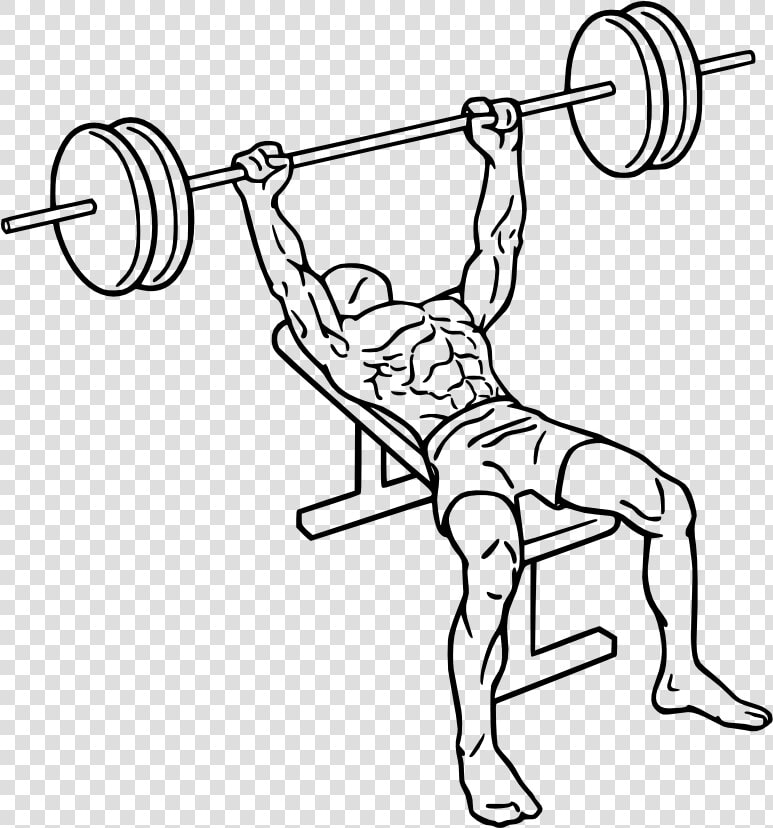 Vector Black And White Drawing At Getdrawings Com    Transparent Bench Press Png  Png DownloadTransparent PNG