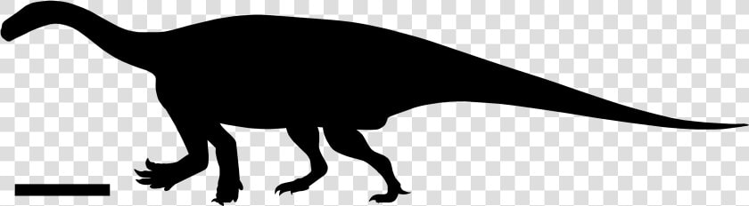 Antetonitrus Silhouette   Lesothosaurus  HD Png DownloadTransparent PNG