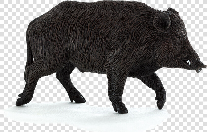 Wild Boar Png File   Wild Boar Boar Png  Transparent PngTransparent PNG