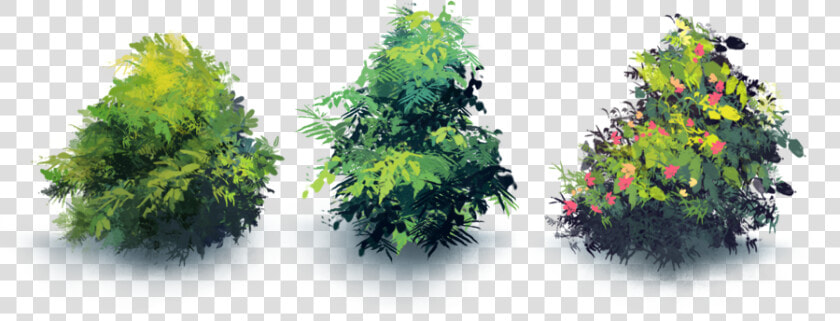 Naturemaster bushes   Maple Leaf  HD Png DownloadTransparent PNG