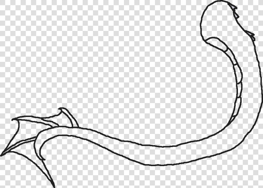 Mermaid Tail Outline Outline Of A Dragons Tail   Outline Of A Dragon  39 s Tail  HD Png DownloadTransparent PNG