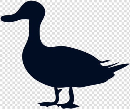 Donald Duck Mallard Silhouette Clip Art   Belligerent Duck  HD Png DownloadTransparent PNG