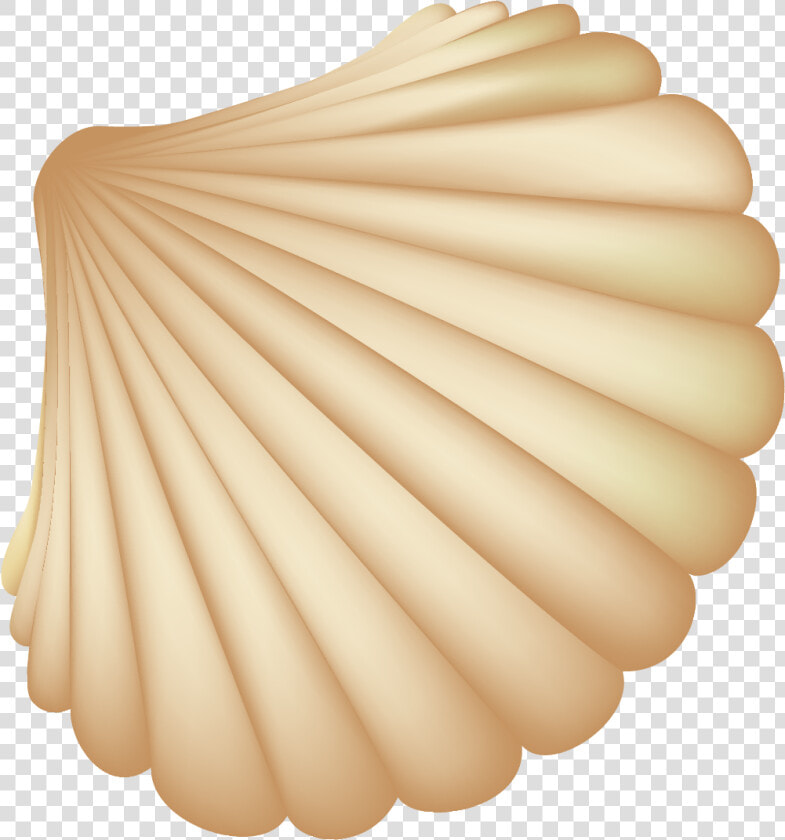 Seashell Computer File   Shell Vector Png  Transparent PngTransparent PNG