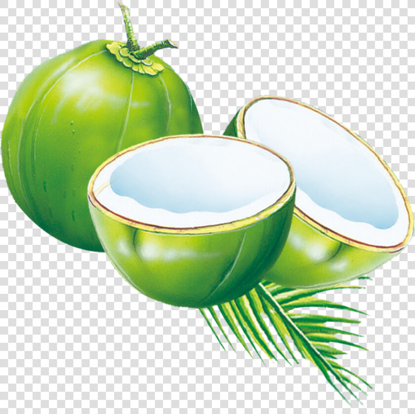 Coconut Water Muda Es Cyan Milk Kelapa Clipart   Es Kelapa Png  Transparent PngTransparent PNG