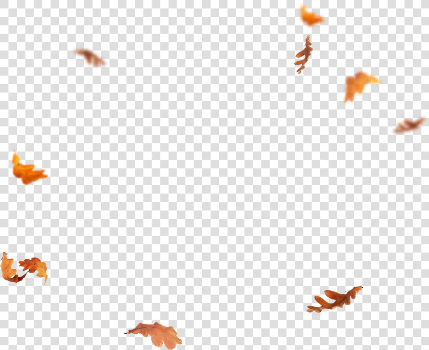 Falling Leaves Png   Falling Autumn Leaves Png  Transparent PngTransparent PNG