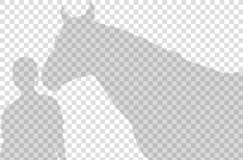 Horse Outline   Stallion  HD Png DownloadTransparent PNG