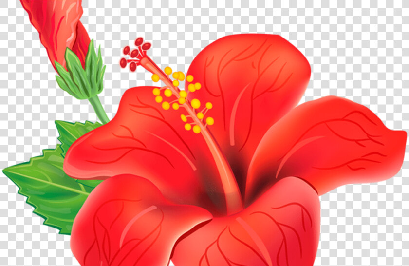 Red Exotic Flower Png Clipart Picture Moana Pinterest   Stickers De Buenos Días  Transparent PngTransparent PNG