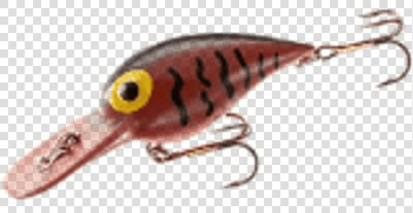 Lures Designed To Get The Fisherman First Class   Fin  HD Png DownloadTransparent PNG