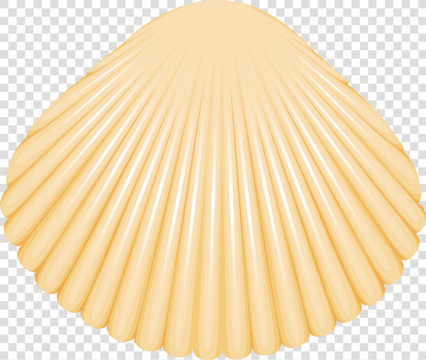 Clam Shell Png Clip Art   Cake  Transparent PngTransparent PNG