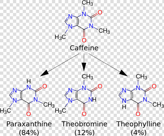 Picture   Caffeine Metabolites  HD Png DownloadTransparent PNG