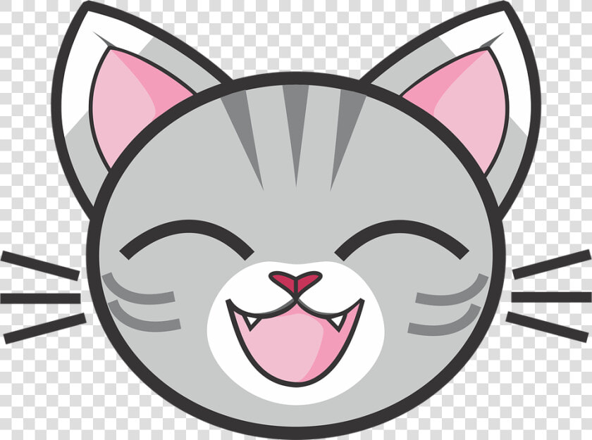 Gray Tabby Cat  Grey Tabby  Tabby  Silver Tabby  Kitty   Cat Face Cartoon Png  Transparent PngTransparent PNG