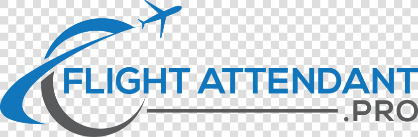 Flight Attendant Professional  HD Png DownloadTransparent PNG