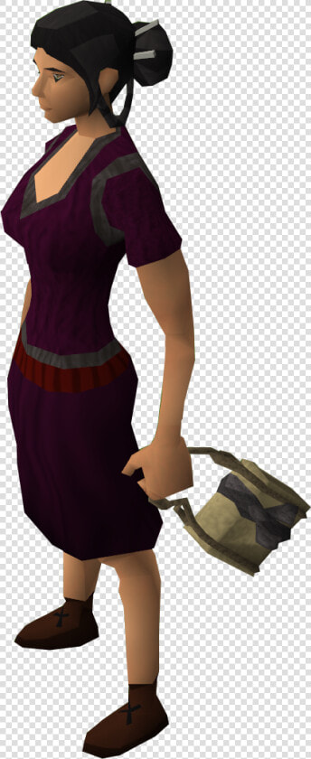 Runescape Satchel  HD Png DownloadTransparent PNG