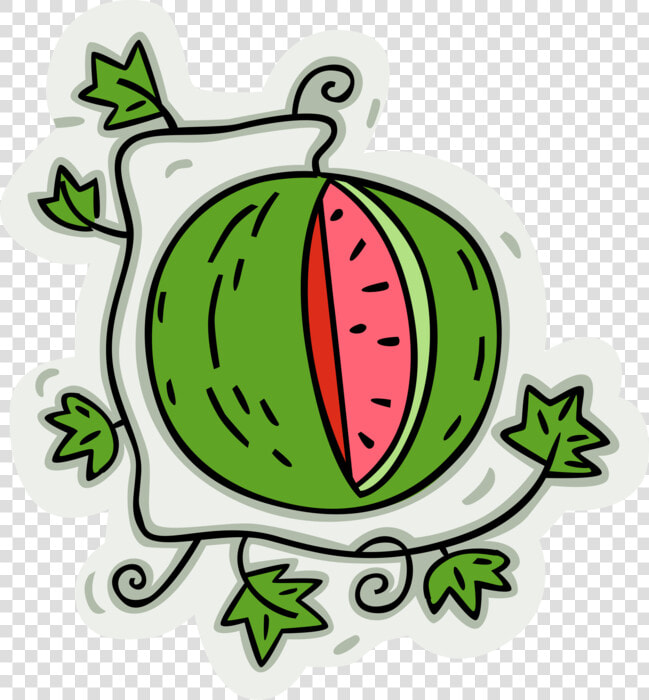 More In Same Style Group Cartoon Watermelon Vine   Cartoon Watermelon Vine  HD Png DownloadTransparent PNG