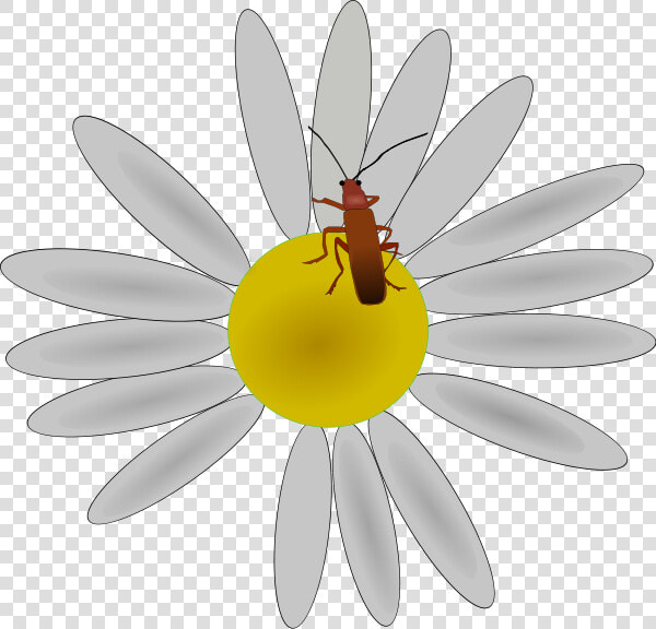 Bug On A Flower Png Clip Arts   Clipart Bug On A Flower  Transparent PngTransparent PNG