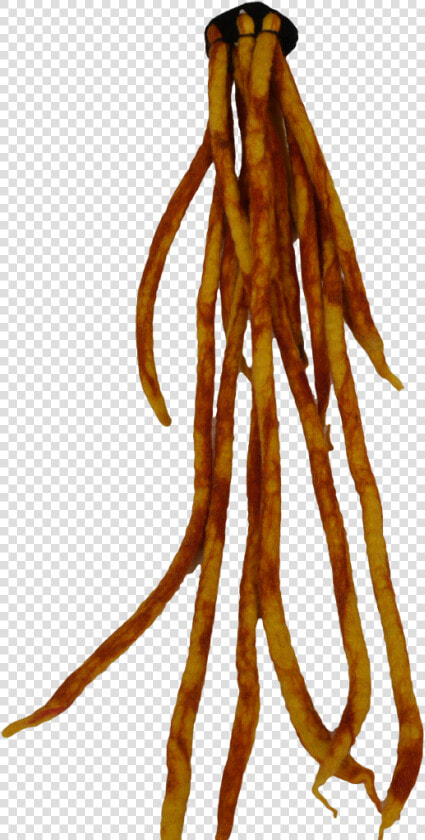 Dreadlock   Legume  HD Png DownloadTransparent PNG