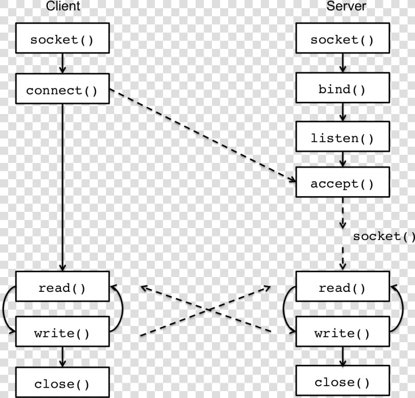 Lec23 Client Server Socket   Client Server Socket  HD Png DownloadTransparent PNG