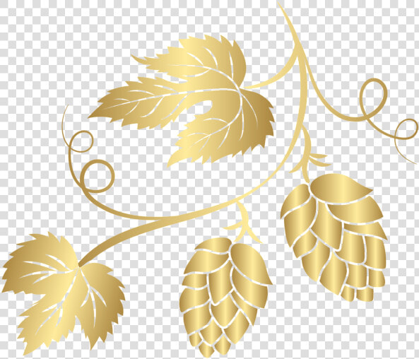 Gold Hop Transparent Png   Hops Clipart Transparent Background  Png DownloadTransparent PNG