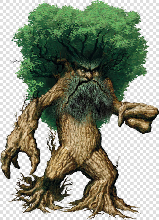 Treant Dnd  HD Png DownloadTransparent PNG