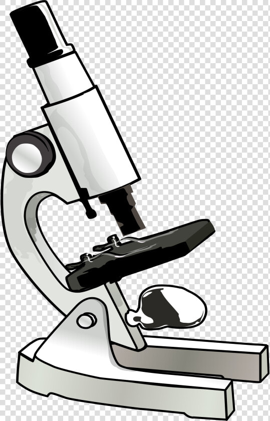 Free Microscope Cliparts  Download Free Clip Art  Free   Microscope Clipart  HD Png DownloadTransparent PNG