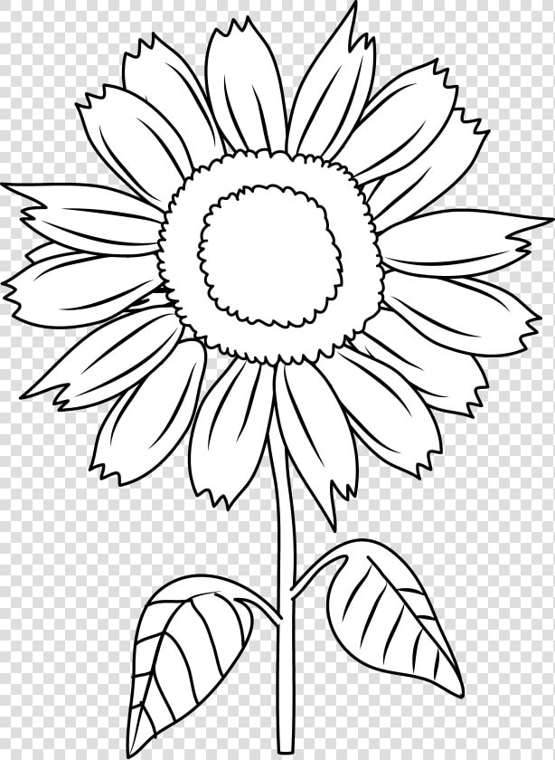 Sunflower Clipart Black And Sunflowers White   Clip Art  HD Png DownloadTransparent PNG