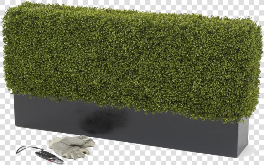 Artificial Premium Deluxe Hedge   Outdoor Artificial Plants Uk  HD Png DownloadTransparent PNG