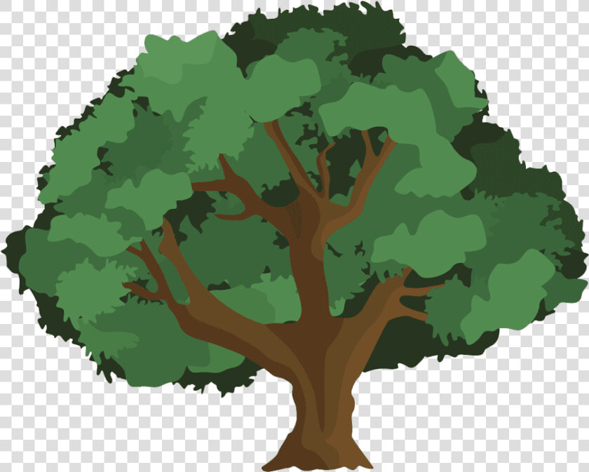 Clip Art Hd Tree Of Gondor Images Alan Lee Clipart   Cartoon Tree On White Background  HD Png DownloadTransparent PNG