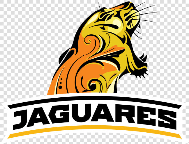 ¡muchas Gracias   unionargentina Por Las Entradas Para   Jaguares Rugby Logo  HD Png DownloadTransparent PNG