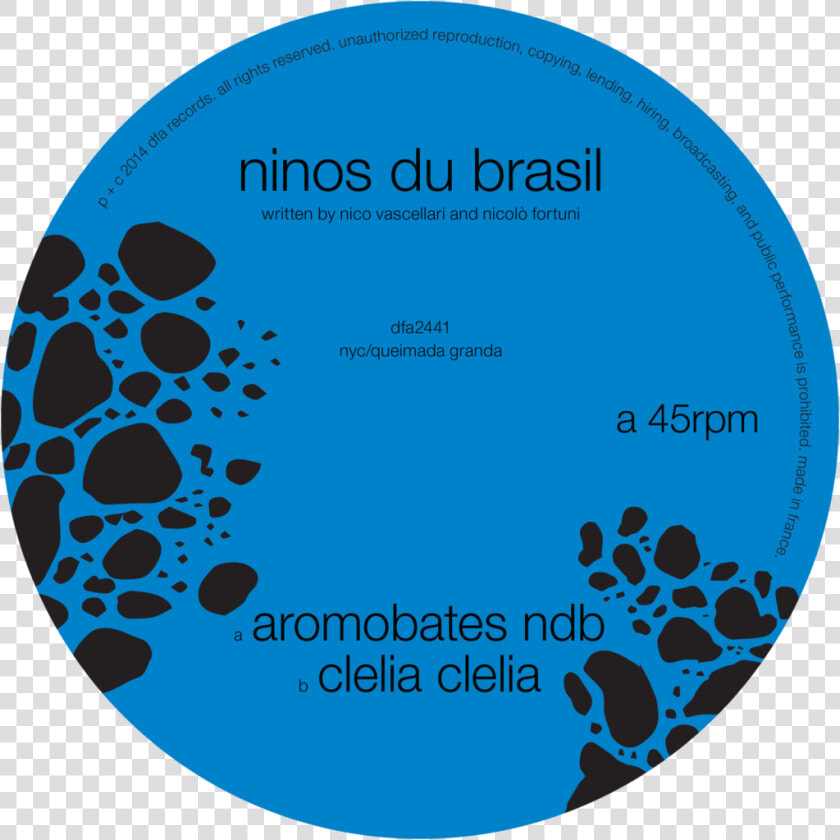 Ninos Du Brasil   Ninos Du Brasil Aromobates Ndb  HD Png DownloadTransparent PNG