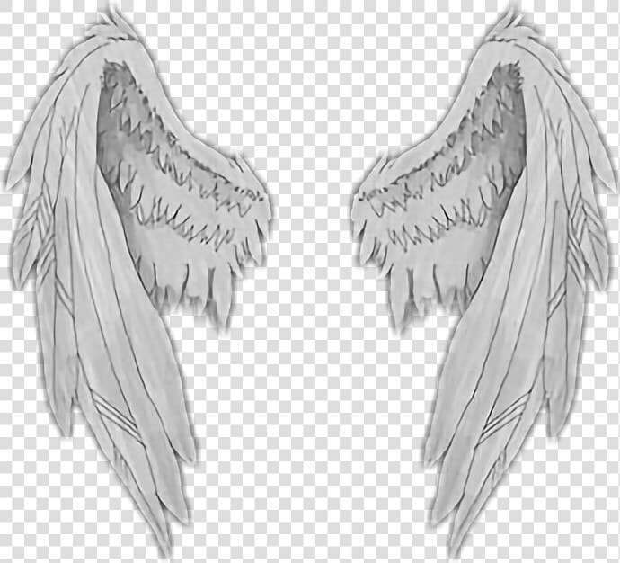  asas  angel  anjo  wings  angelwings  sticker   Wings Stickers  HD Png DownloadTransparent PNG