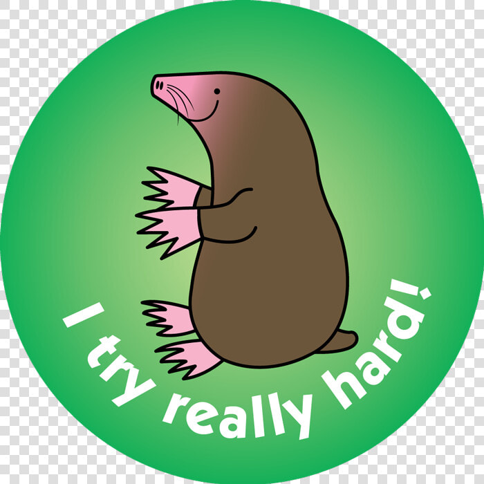 Groundhog Transparent Free For   Punxsutawney Phil  HD Png DownloadTransparent PNG