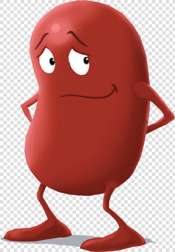 Kidney Character Shy   Cartoon Kidney  HD Png DownloadTransparent PNG