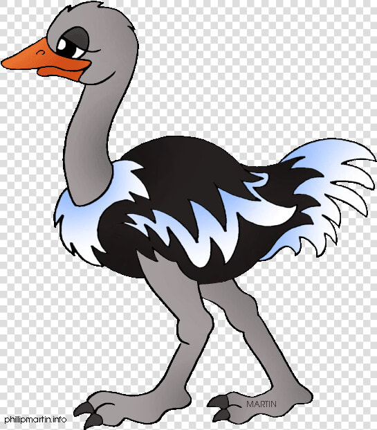 Cartoon Picture Of Ostrich   Ostrich Sentence In English  HD Png DownloadTransparent PNG