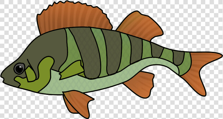 Collection Of School Of Tropical Fish Drawing High   Drawing  HD Png DownloadTransparent PNG