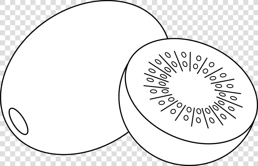 Circle Clipart Fruit   Outline Of Kiwi Fruit  HD Png DownloadTransparent PNG