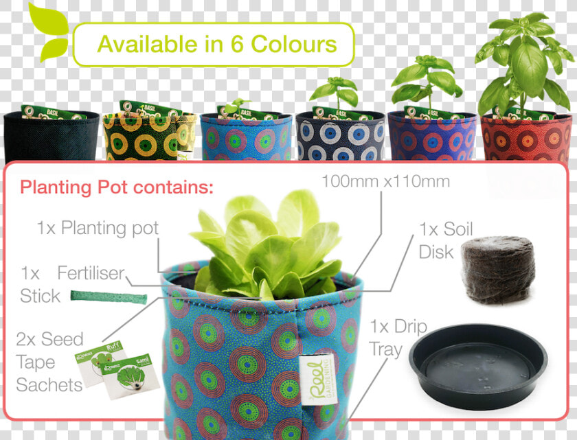 Transparent Indoor Plant Png   Food Decomposing Flower Pot  Png DownloadTransparent PNG