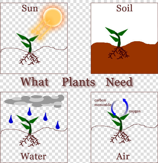 Clipart Sun Soil Air Water Banner Second Grade Leonor   Needs Of The Plants  HD Png DownloadTransparent PNG