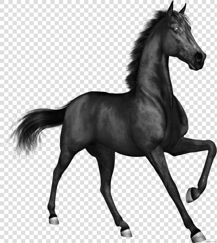 Horse Page Of Clipartblack Com Animal Free   Black Horse Png Hd  Transparent PngTransparent PNG