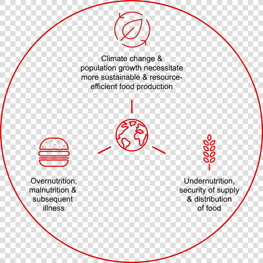 Food Nation Icon Sustainability   Circle  HD Png DownloadTransparent PNG