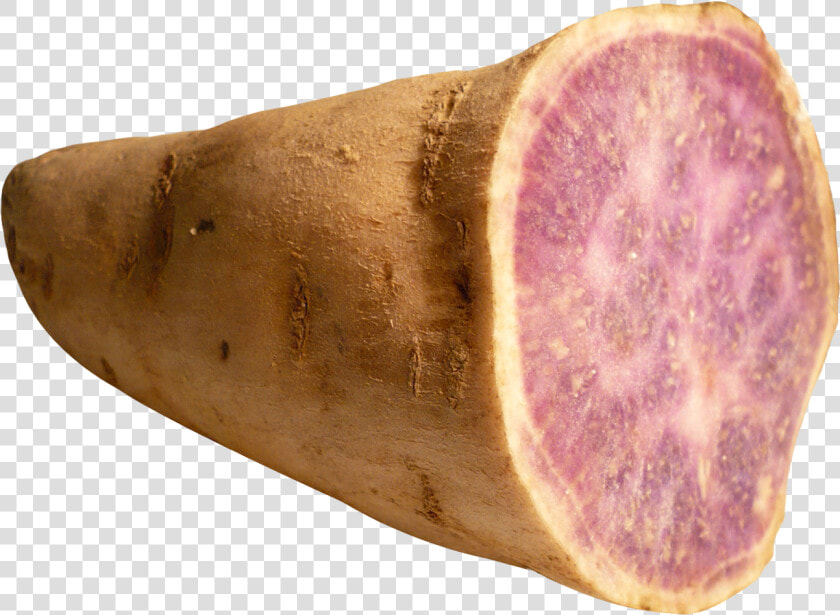 Yam Png  Transparent PngTransparent PNG