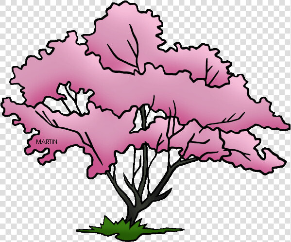 Transparent Tree Dogwood   Dogwood Tree Clip Art  HD Png DownloadTransparent PNG