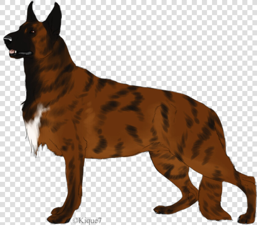 Great Dane  HD Png DownloadTransparent PNG