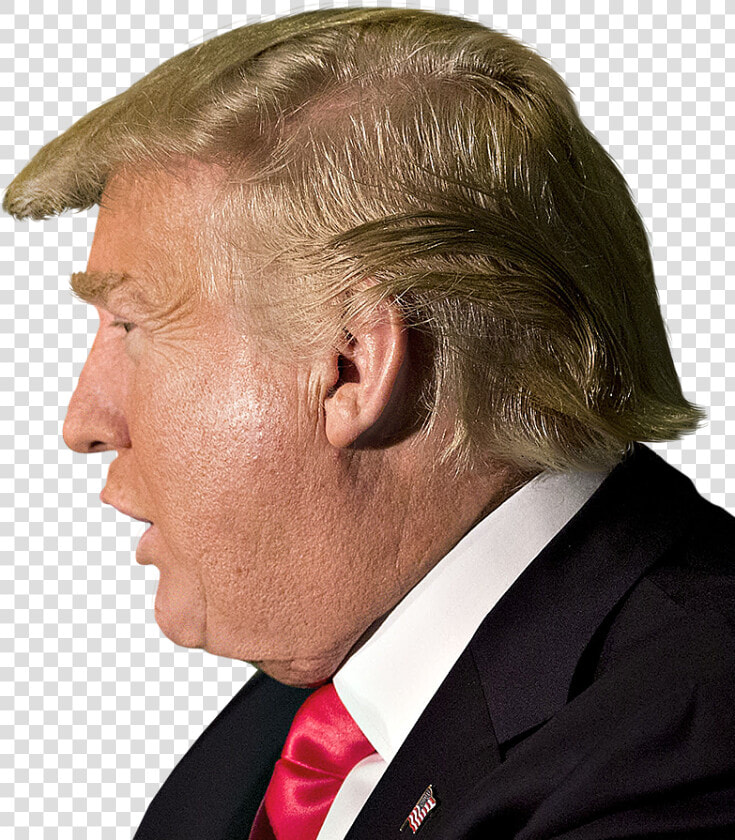 Donald Trump Head Will See You Un Court Png Clipart   Donald Trump Side Face Png  Transparent PngTransparent PNG