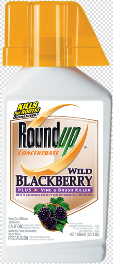 Roundup Blackberry Killer  HD Png DownloadTransparent PNG