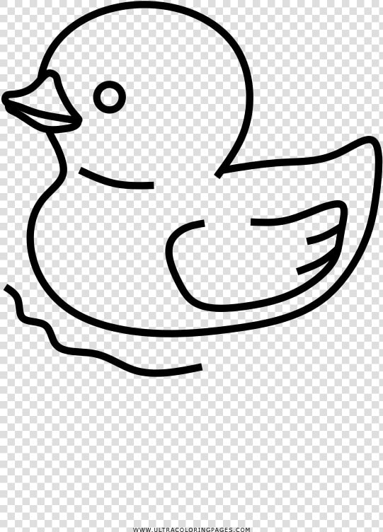 Rubber Ducky Coloring Page   Duck  HD Png DownloadTransparent PNG