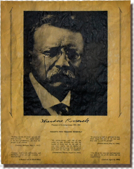 Thoughts From Theodore Roosevelt   Poster  HD Png DownloadTransparent PNG