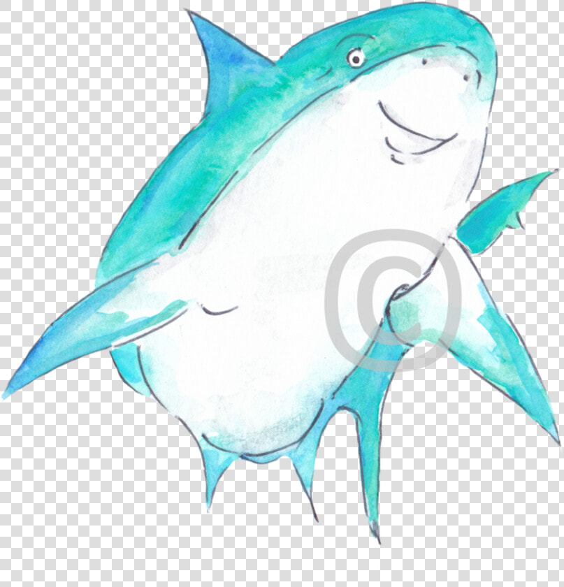 Reef Shark P2 Cmaas Copyright   Great White Shark  HD Png DownloadTransparent PNG