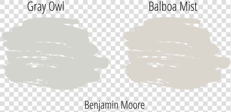 Gray Owl Next To Balboa Mist  Both Popular Neutral   White Paint Swatch Png  Transparent PngTransparent PNG