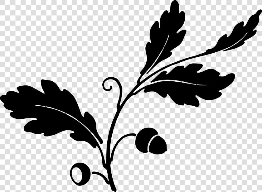 Oak Leaf Png   Oakleaf And Acorn Silhouette  Transparent PngTransparent PNG