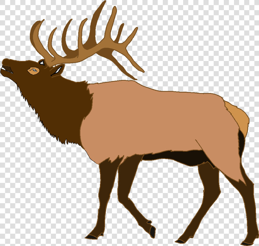 Stag Vector Elk Head   Parallax Correction  HD Png DownloadTransparent PNG